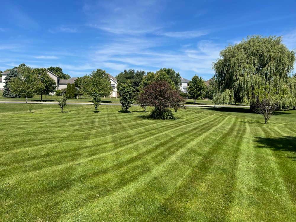 Hero image for Spurred Landscaping LLC
