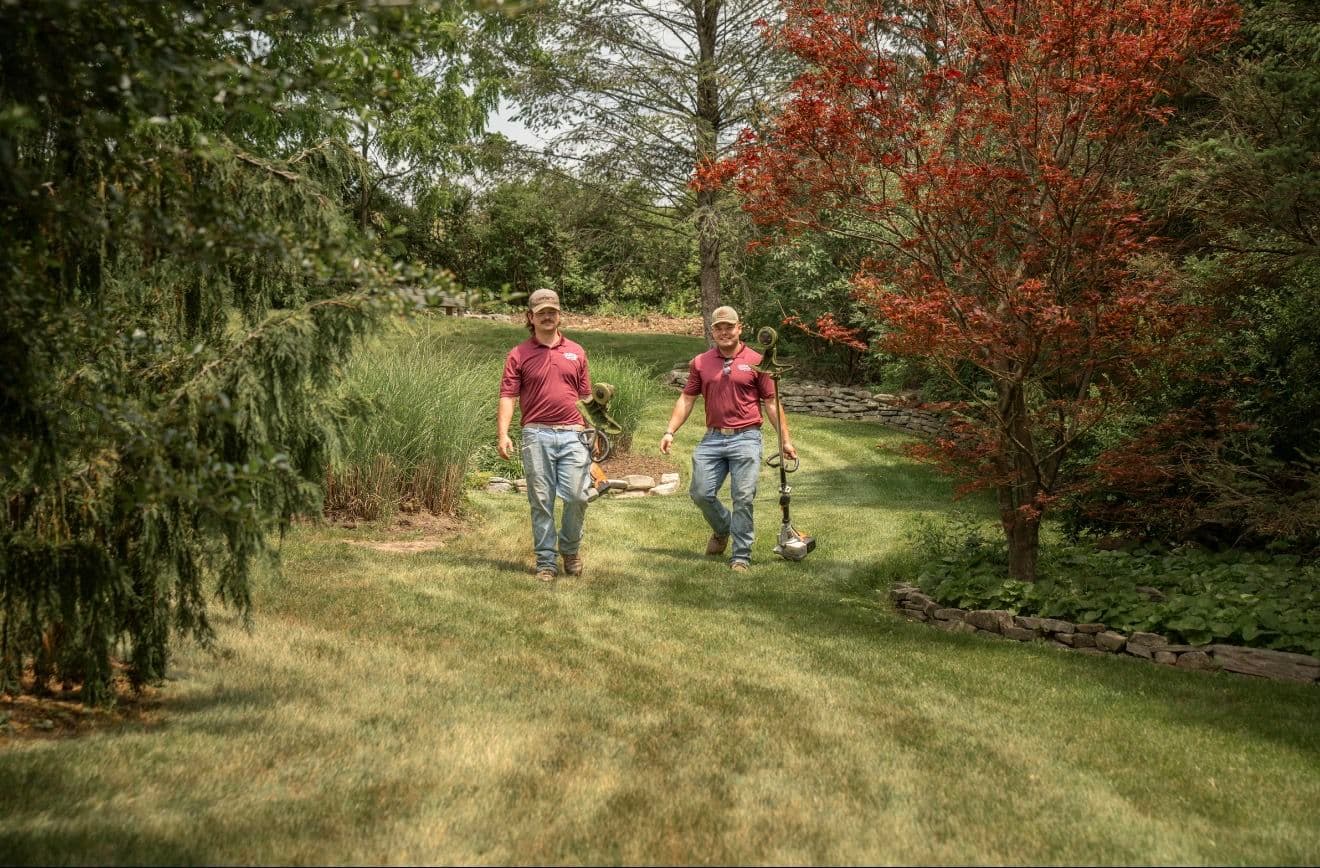 Gallery photos for Clean Lines, Sharp Lawns - This Is What We Do: Image #6