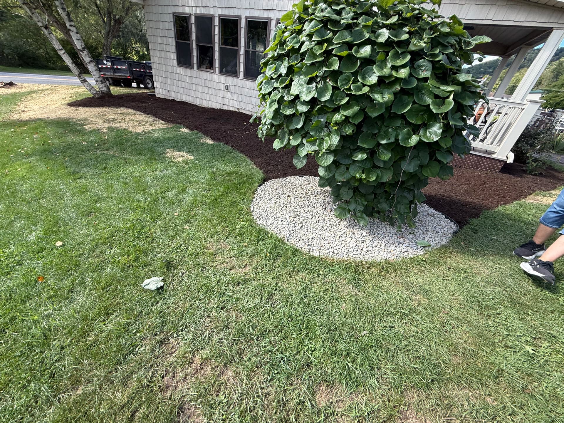 Paver Patio, Fresh Mulch, and Hydrangeas for Clean Curb Appeal