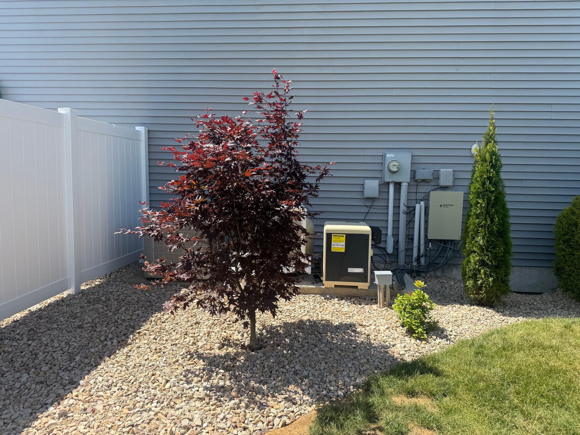 Gallery photos for Full Yard Overhaul - Stone Beds, New Plants, Concrete Slab and Lawn Restoration: Image #6