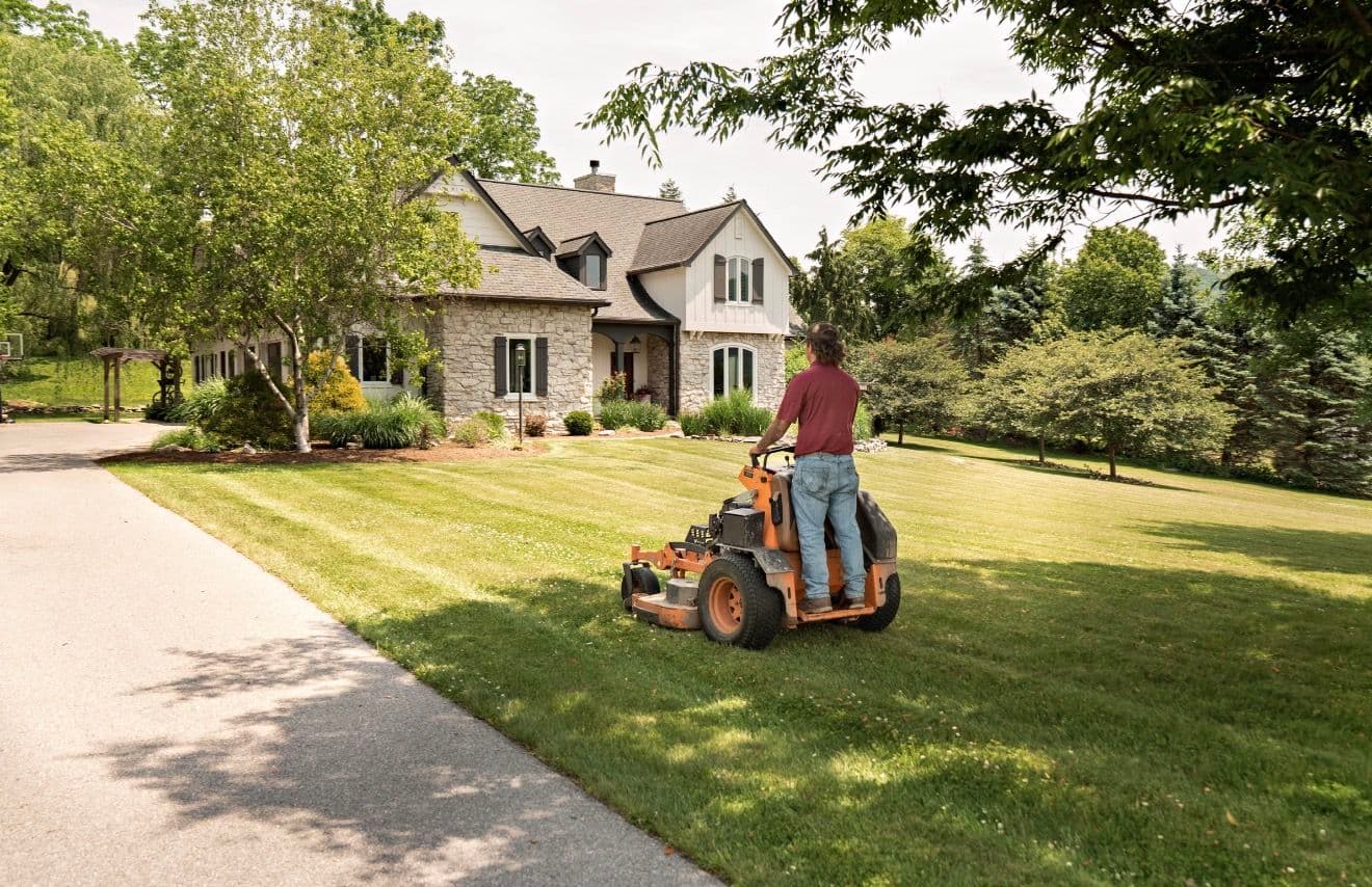 Gallery photos for Clean Lines, Sharp Lawns - This Is What We Do: Image #3