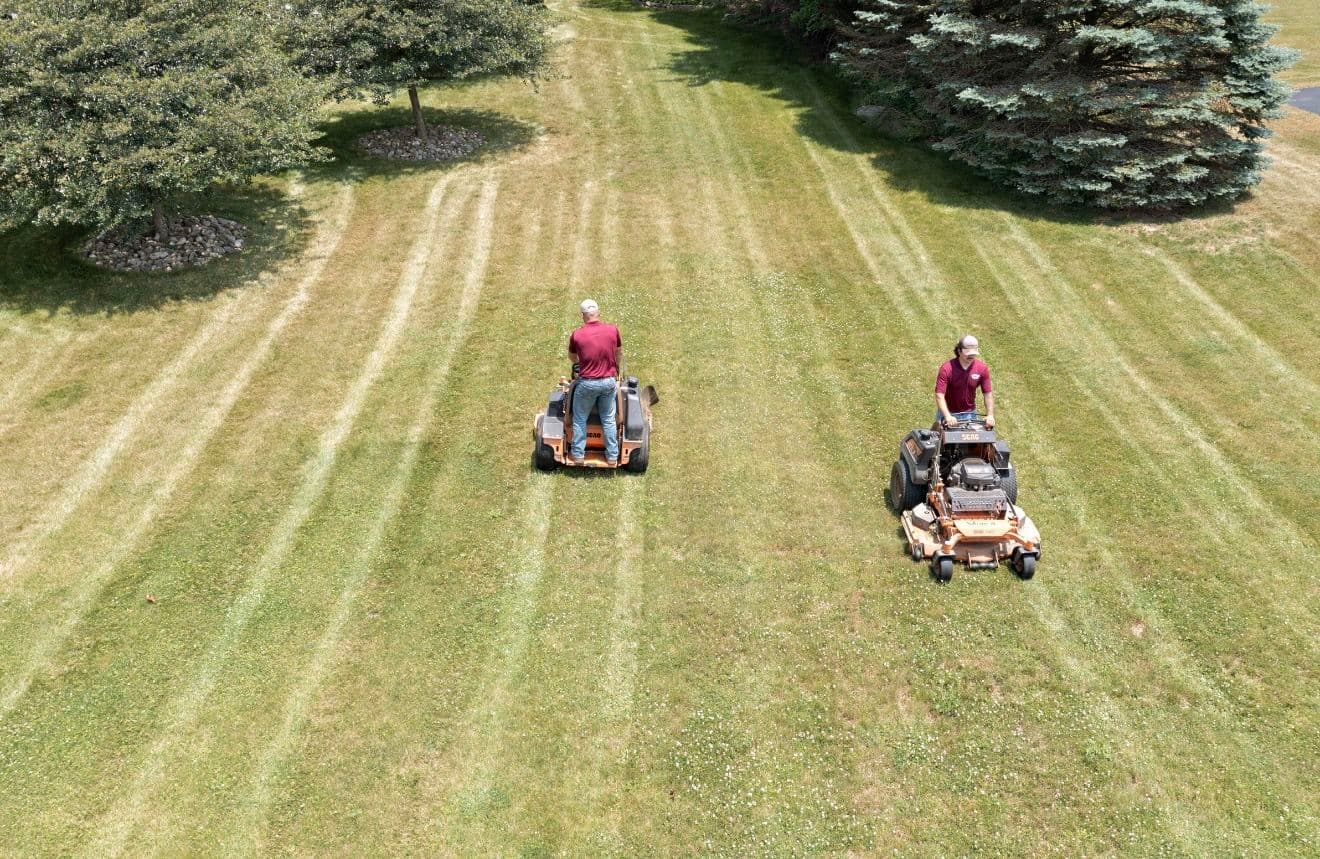 Gallery photos for Clean Lines, Sharp Lawns - This Is What We Do: Image #4
