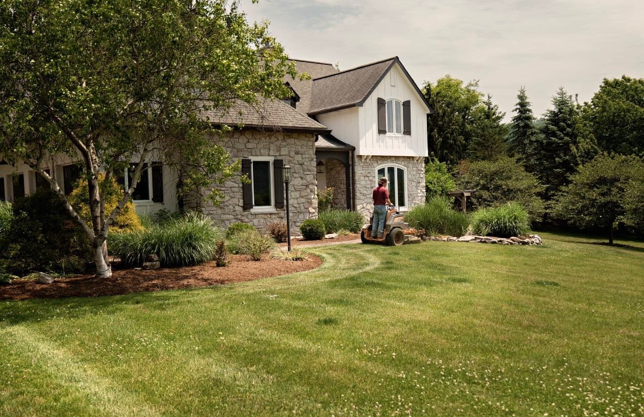Gallery photos for Clean Lines, Sharp Lawns - This Is What We Do: Image #2