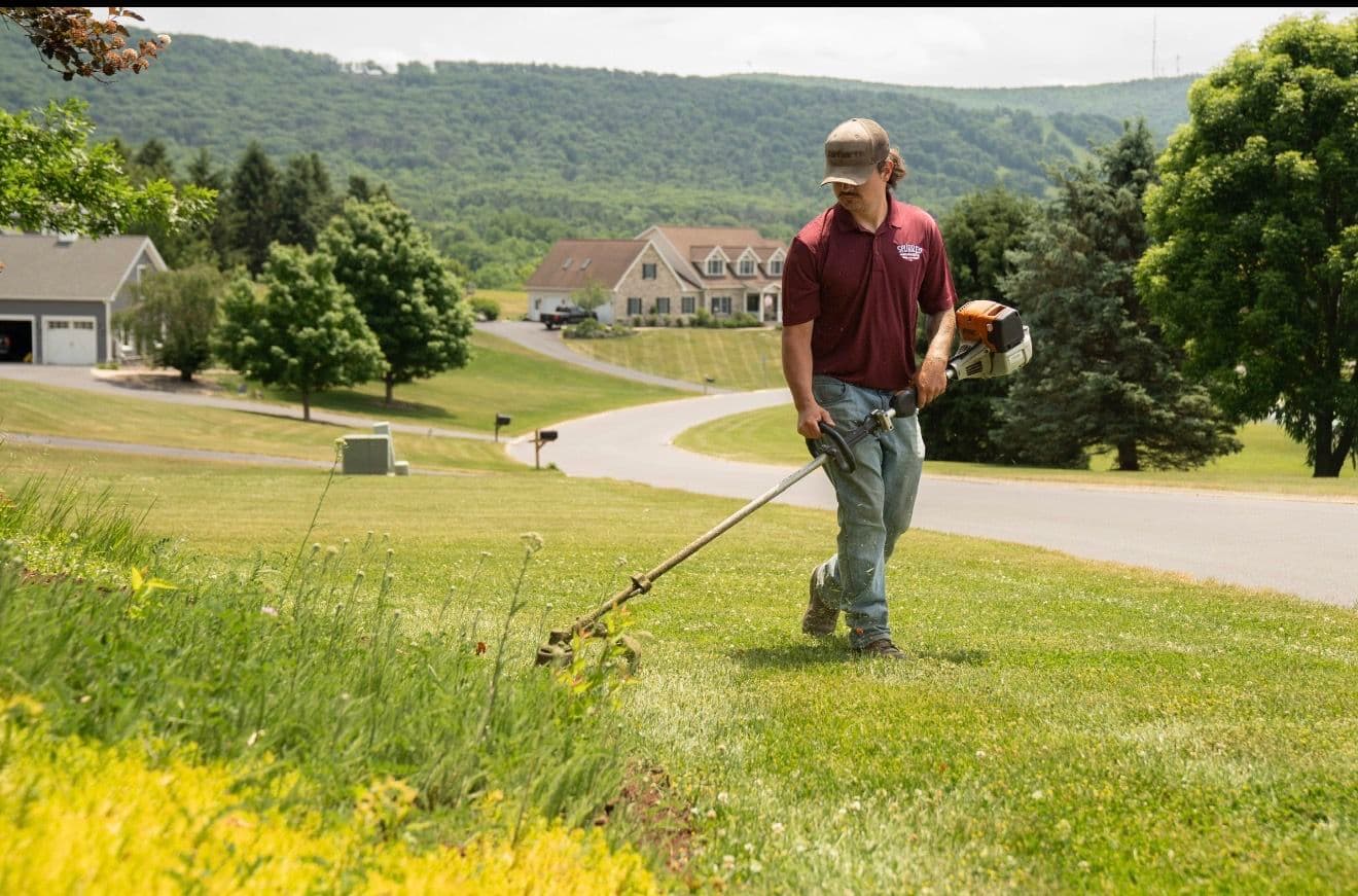 Gallery photos for Clean Lines, Sharp Lawns - This Is What We Do: Image #5