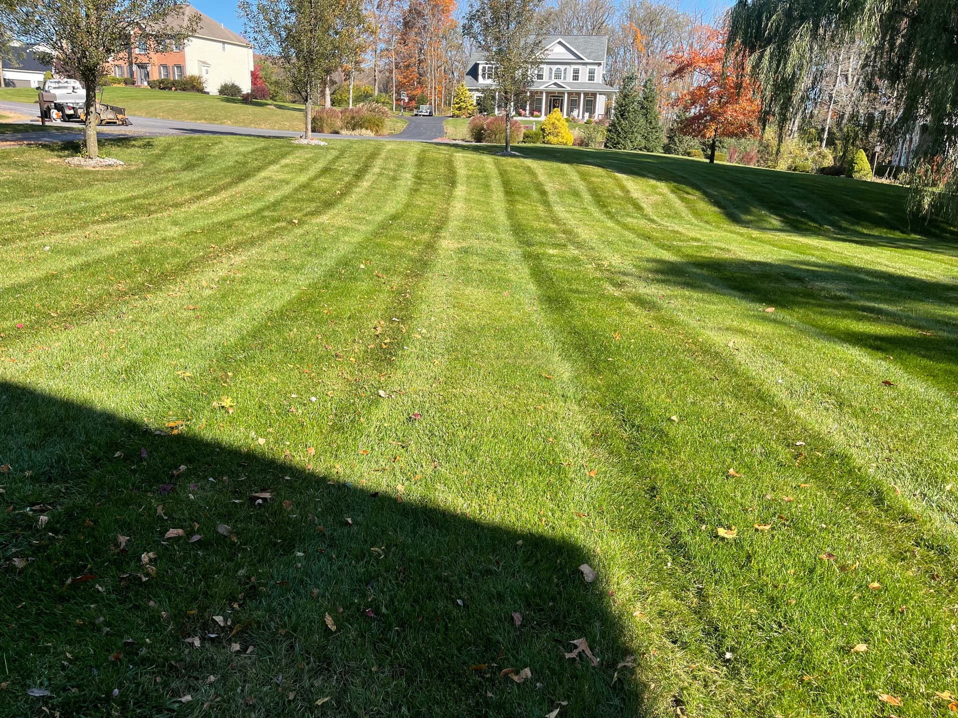 Fresh Cut Clean Lines and One Less Thing on Your Weekend List image