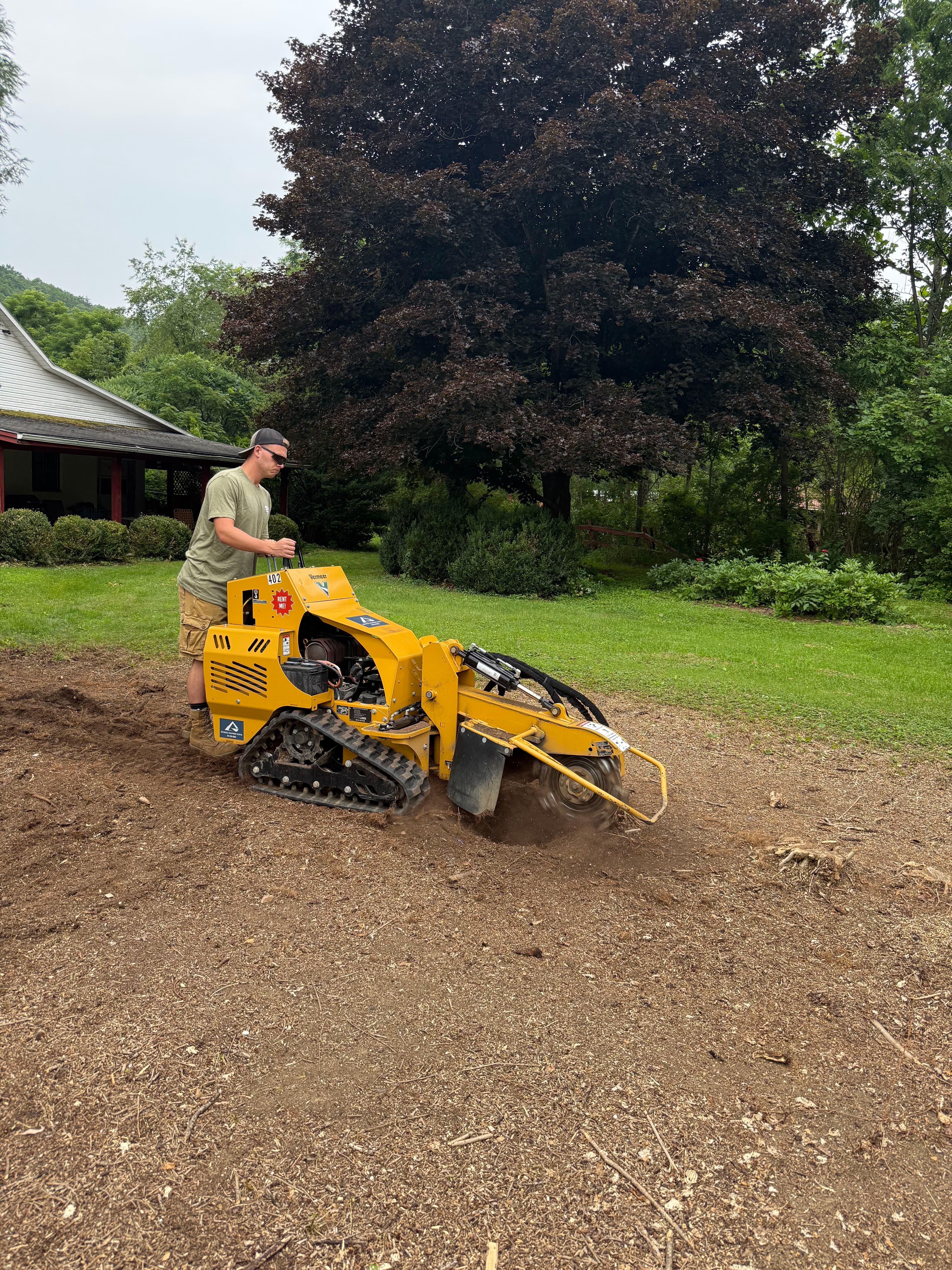 Project Grinding Down a Full Hedge Row of Stumps image