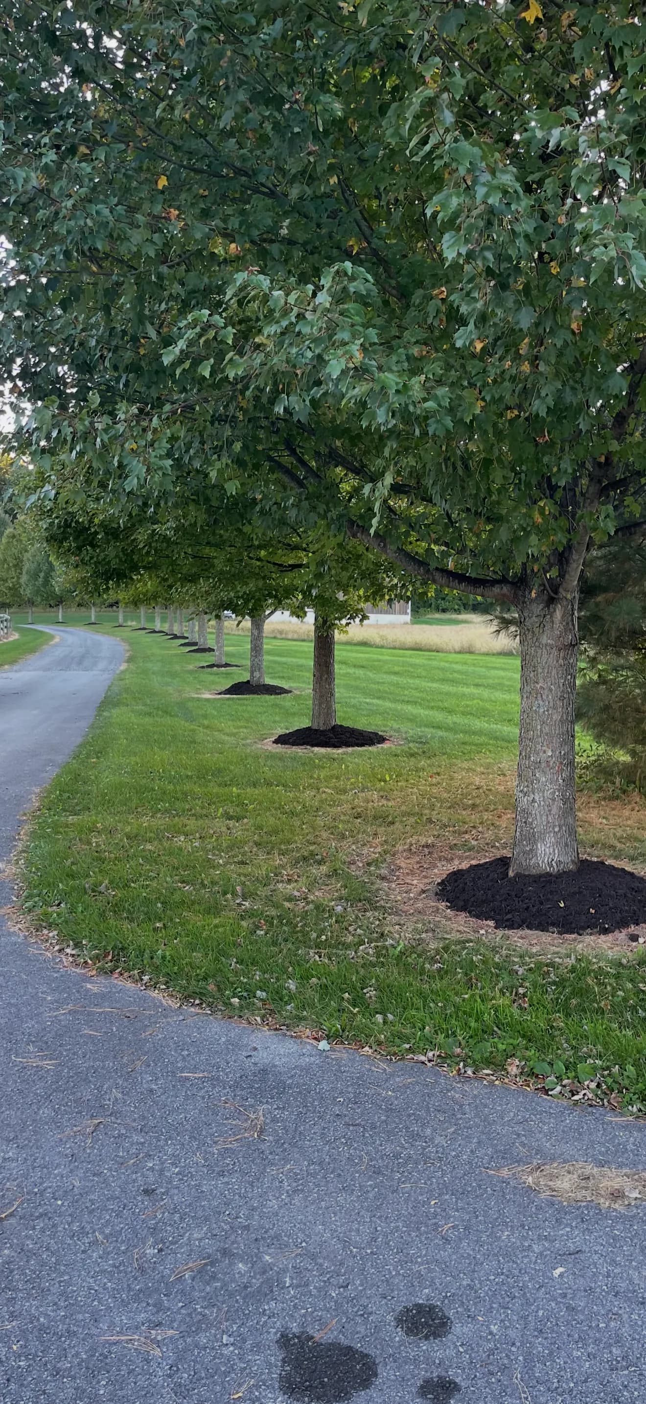 Fresh Mulch and a Full Bed Clean Up on a Large Rural Property