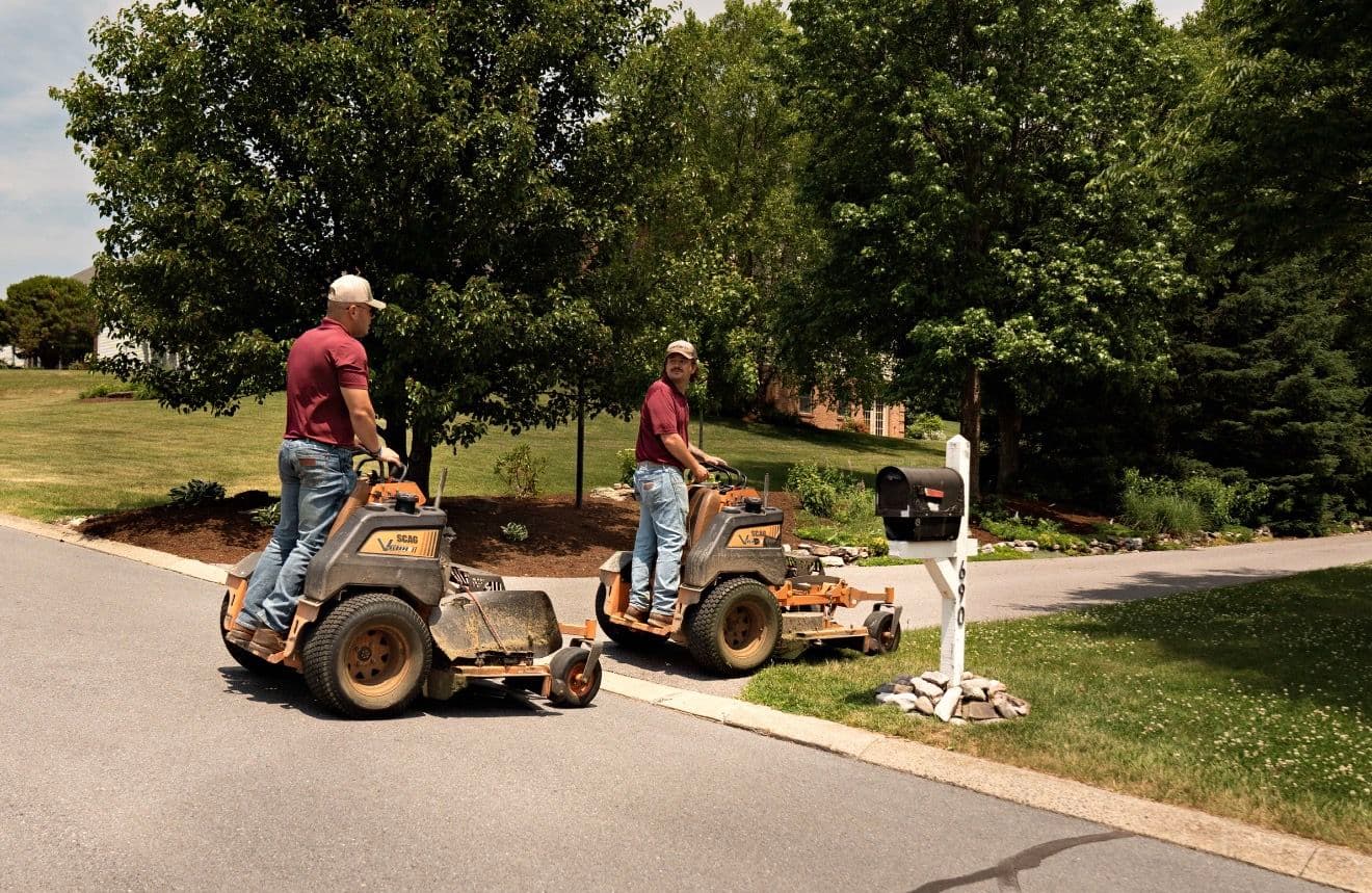 Gallery photos for Clean Lines, Sharp Lawns - This Is What We Do: Image #1