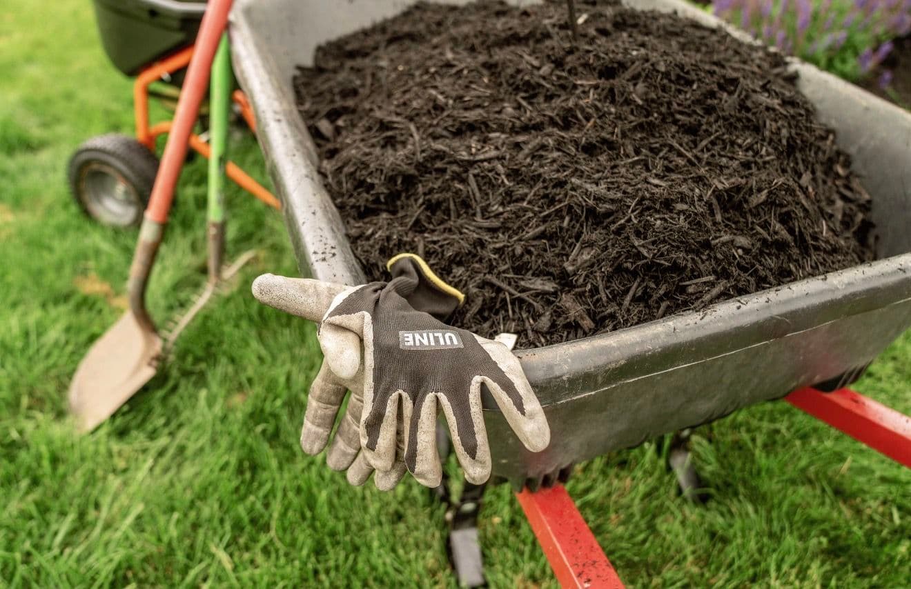 Gallery photos for Fresh Mulch Install With Bed Prep and Weed Protection: Image #4