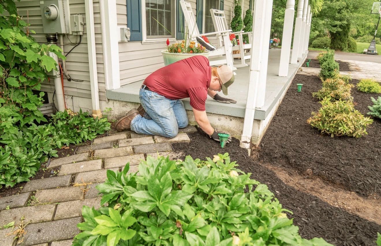 Gallery photos for Fresh Mulch Install With Bed Prep and Weed Protection: Image #3