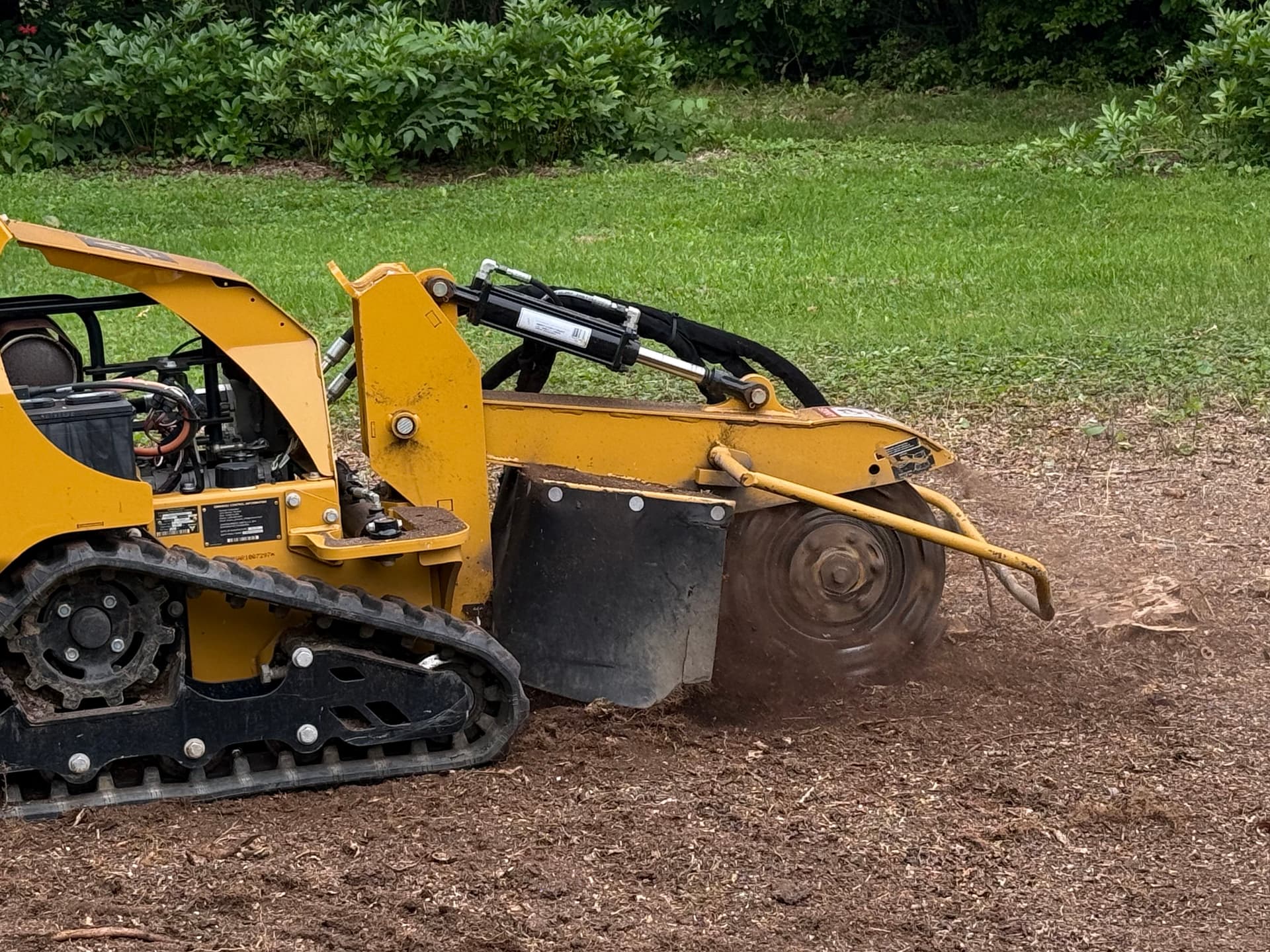 Gallery photos for Grinding Down a Full Hedge Row of Stumps: Image #2