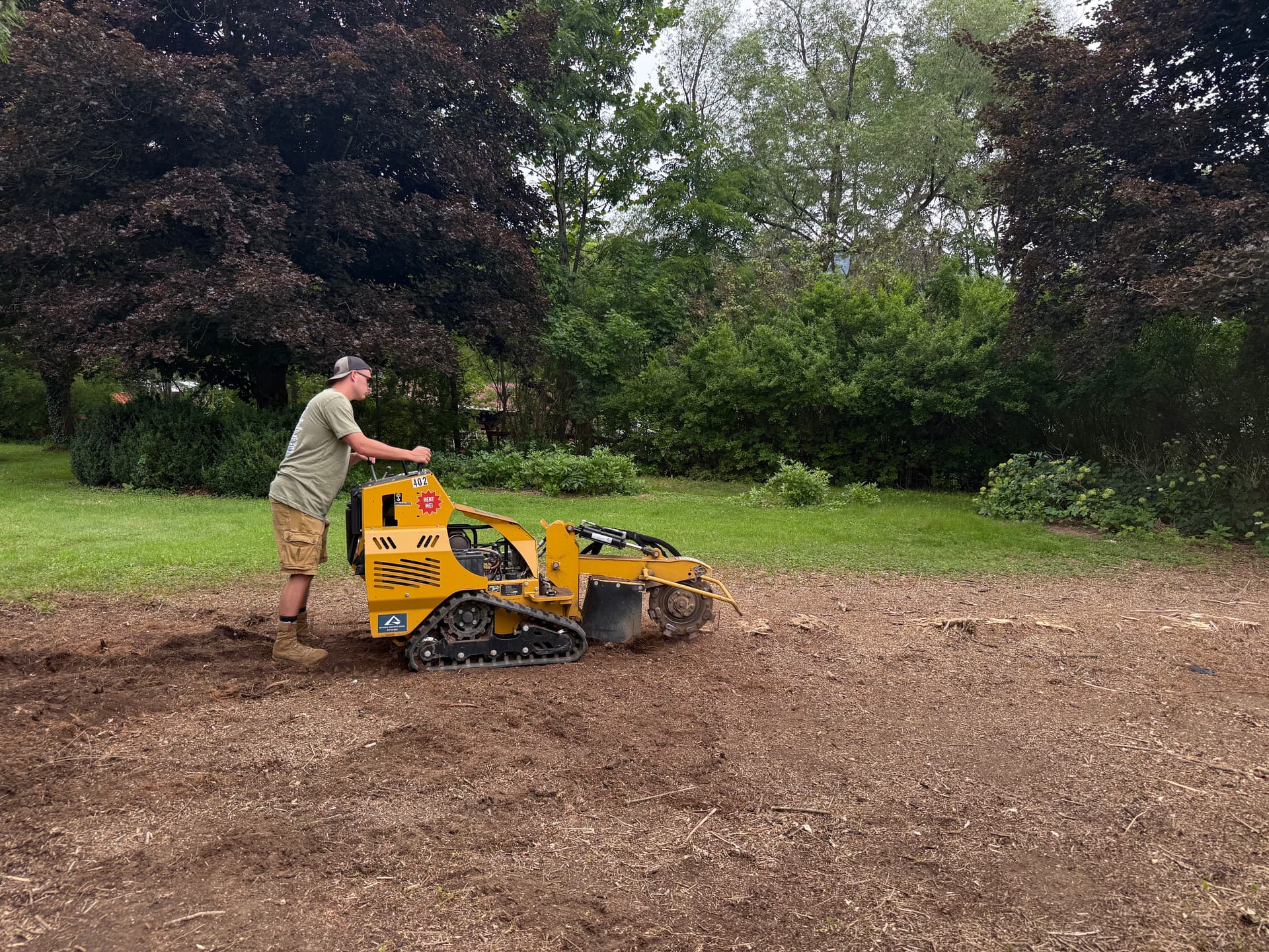 Gallery photos for Grinding Down a Full Hedge Row of Stumps: Image #3