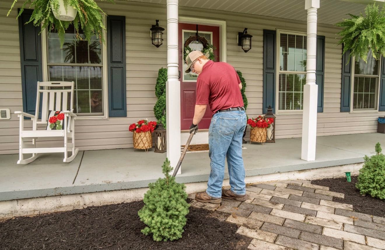 Gallery photos for Fresh Mulch Install With Bed Prep and Weed Protection: Image #1
