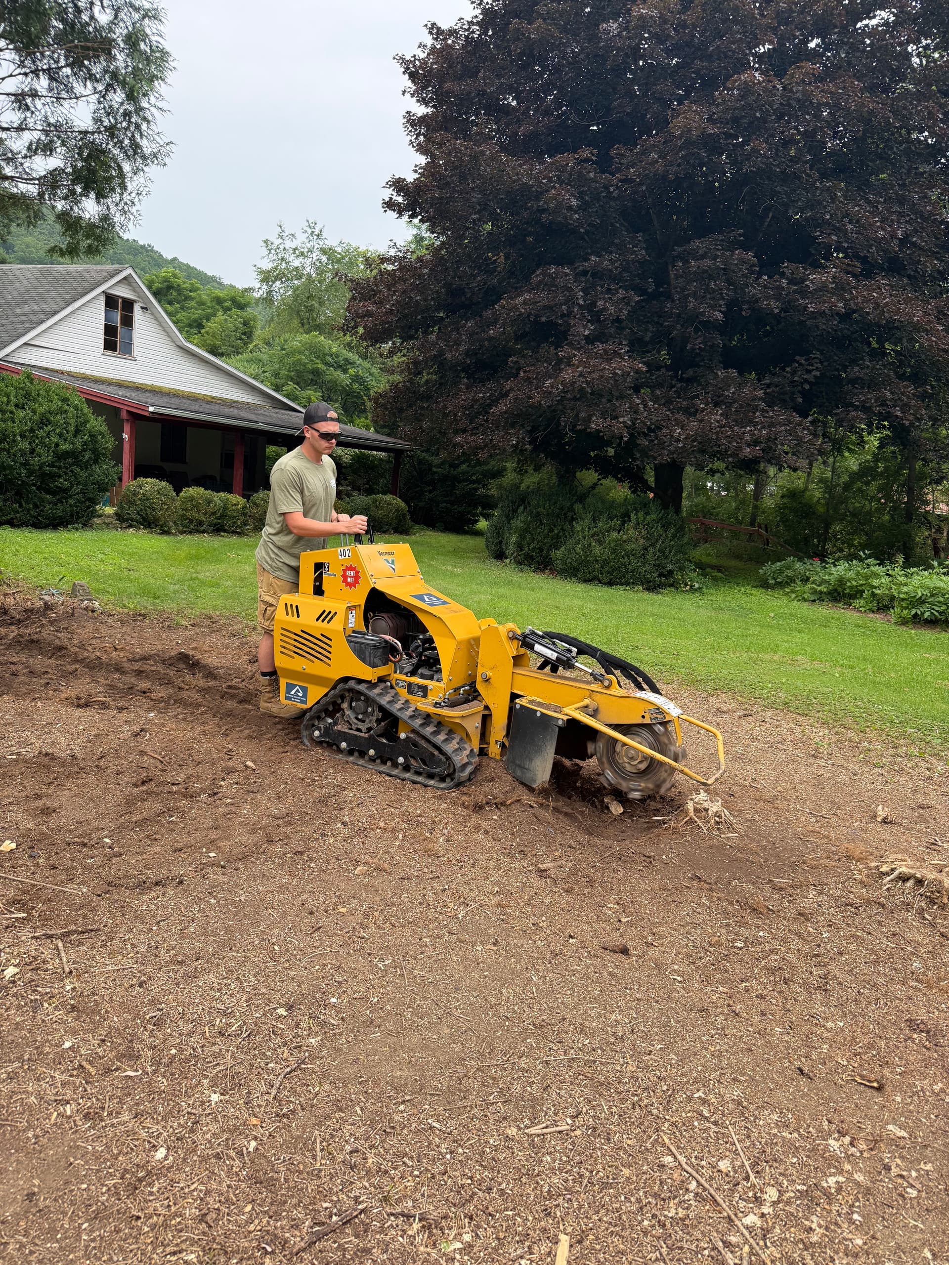 Gallery photos for Grinding Down a Full Hedge Row of Stumps: Image #1