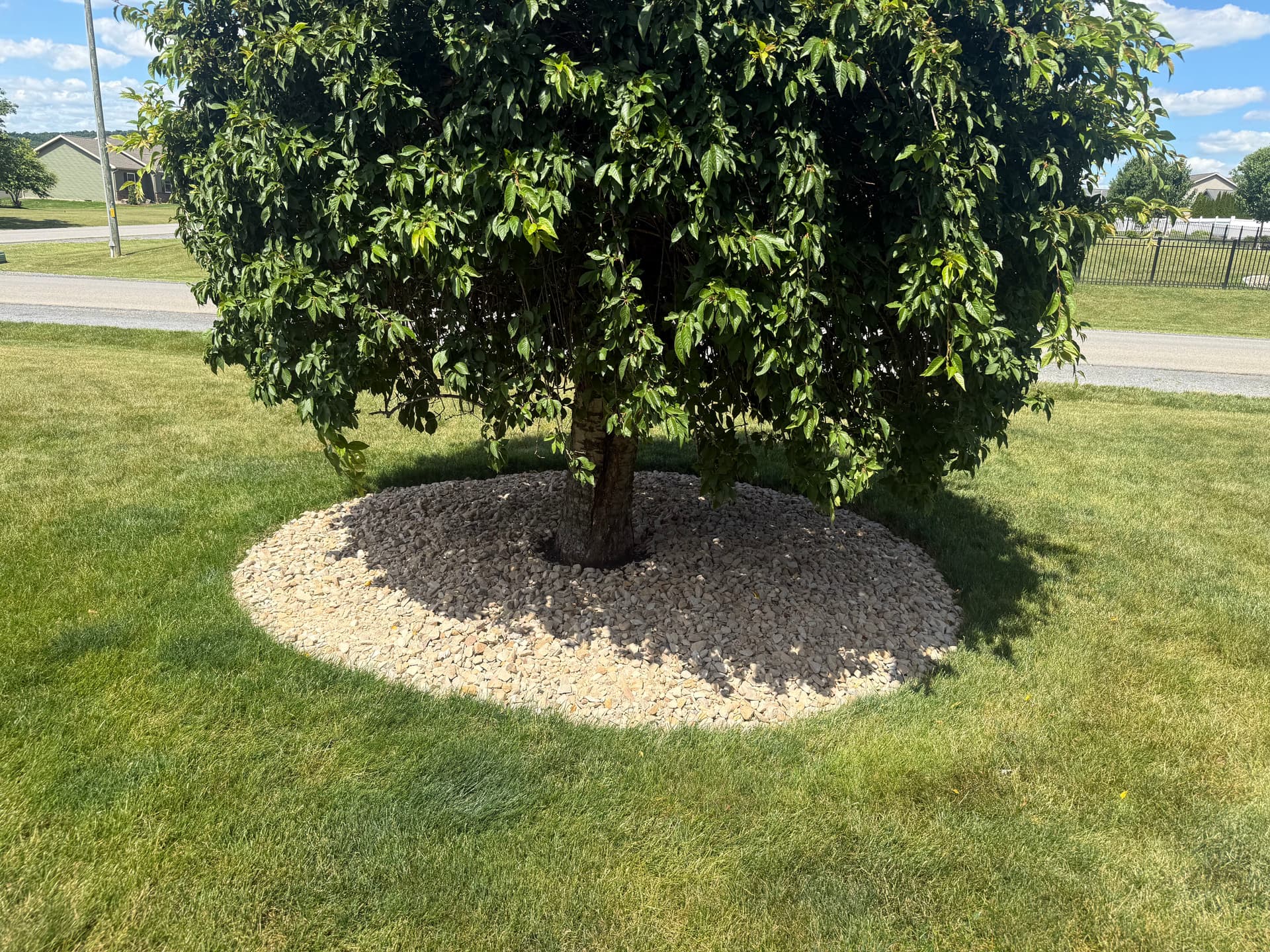 Gallery photos for River Stone and Mountain Stone Beds That Actually Last: Image #2